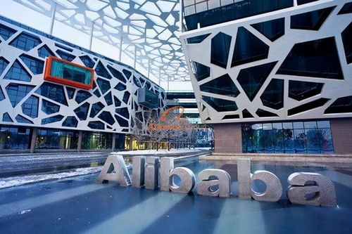合肥菜划算成立，阿里系再拓社区电商版图